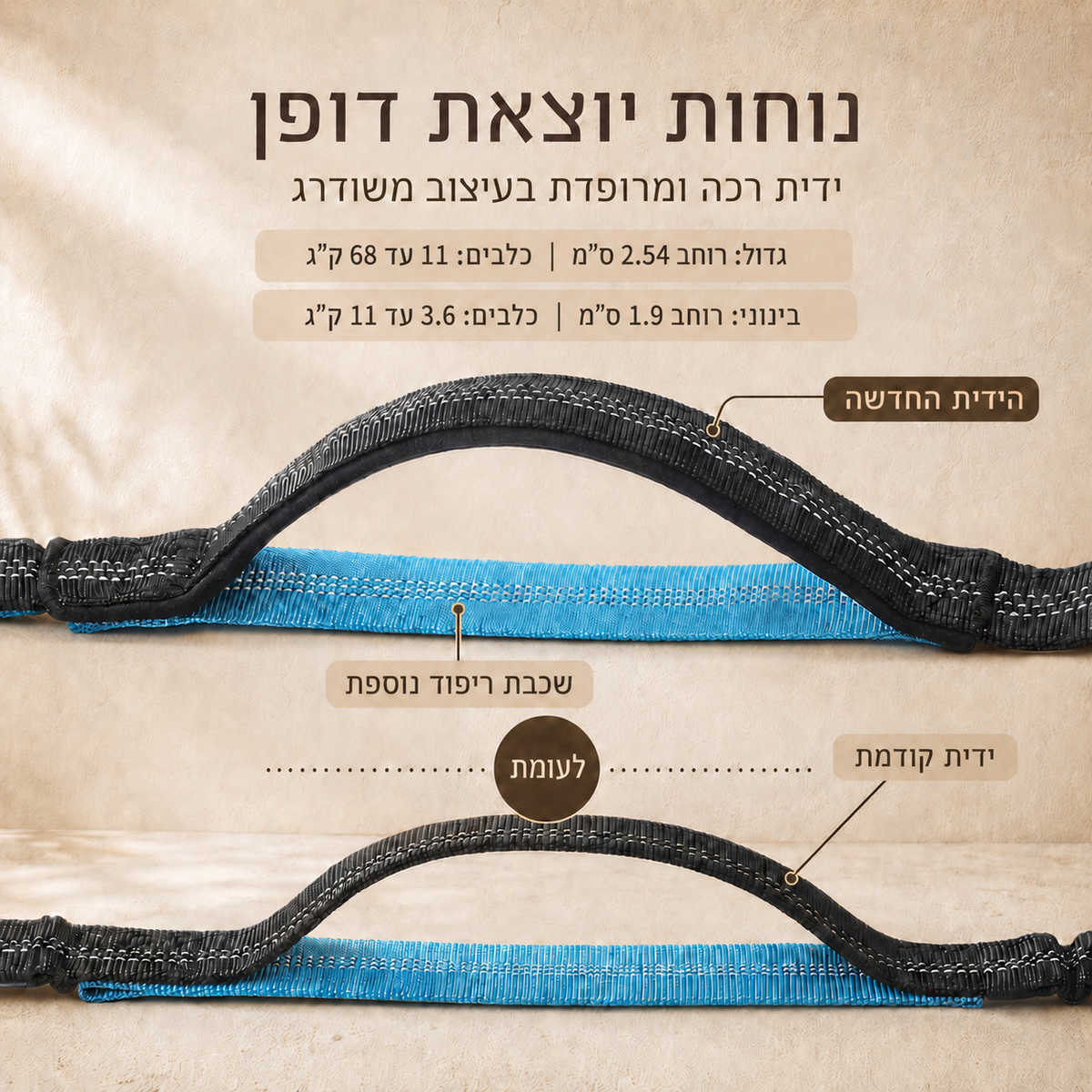 PawGo Sport – רצועת מותן ספורטיבית