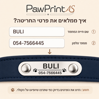 PawCollar Buli עם חריטה אישית