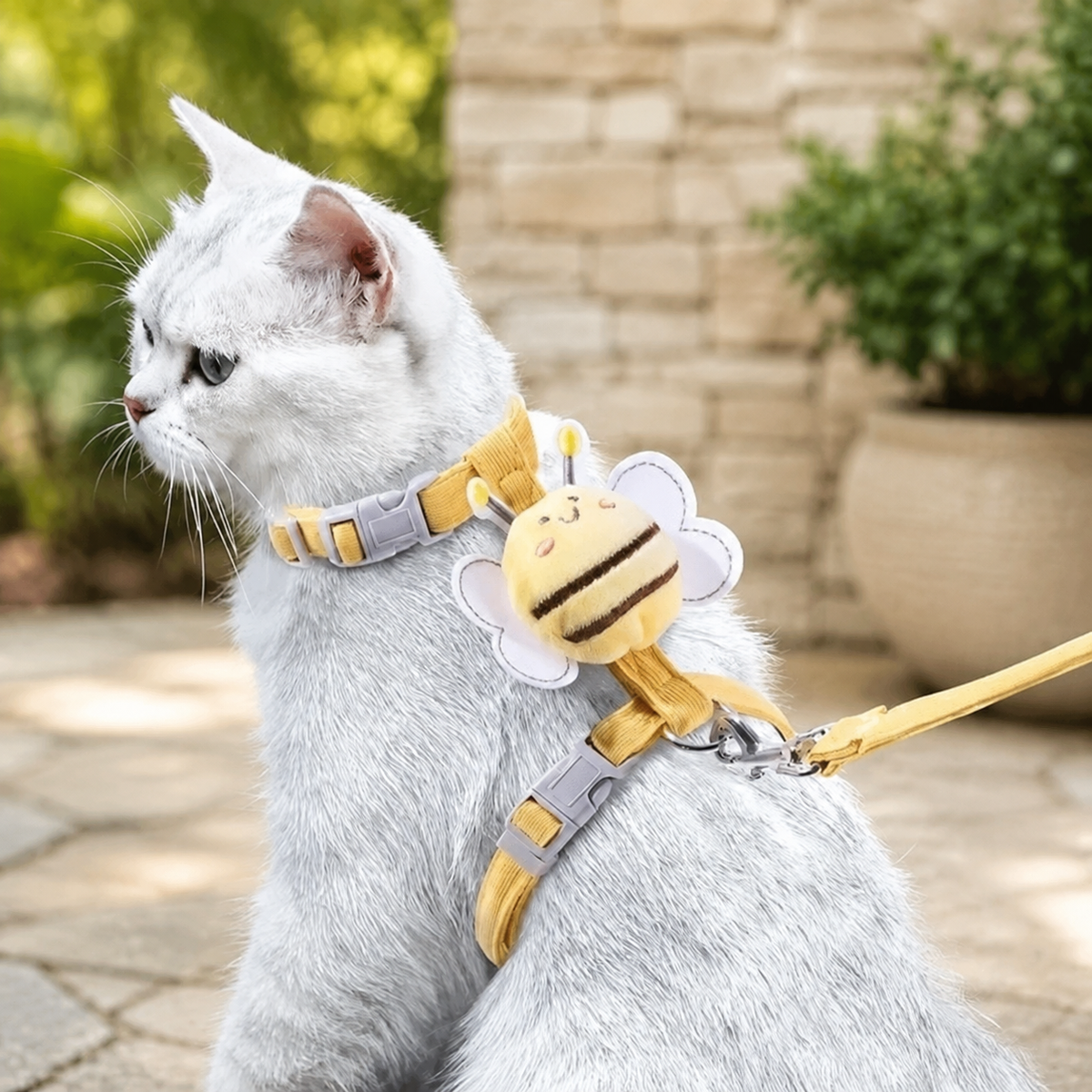PawShield Cat - רתמה נגד בריחה לחתולים