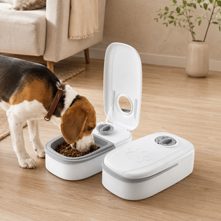 PawMeal – מתקן האכלה מתוזמן לחיות מחמד