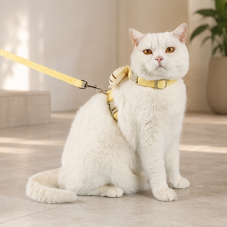 PawShield Cat - רתמה נגד בריחה לחתולים