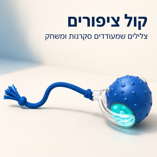 PawPlay Motion - כדור אינטראקטיבי