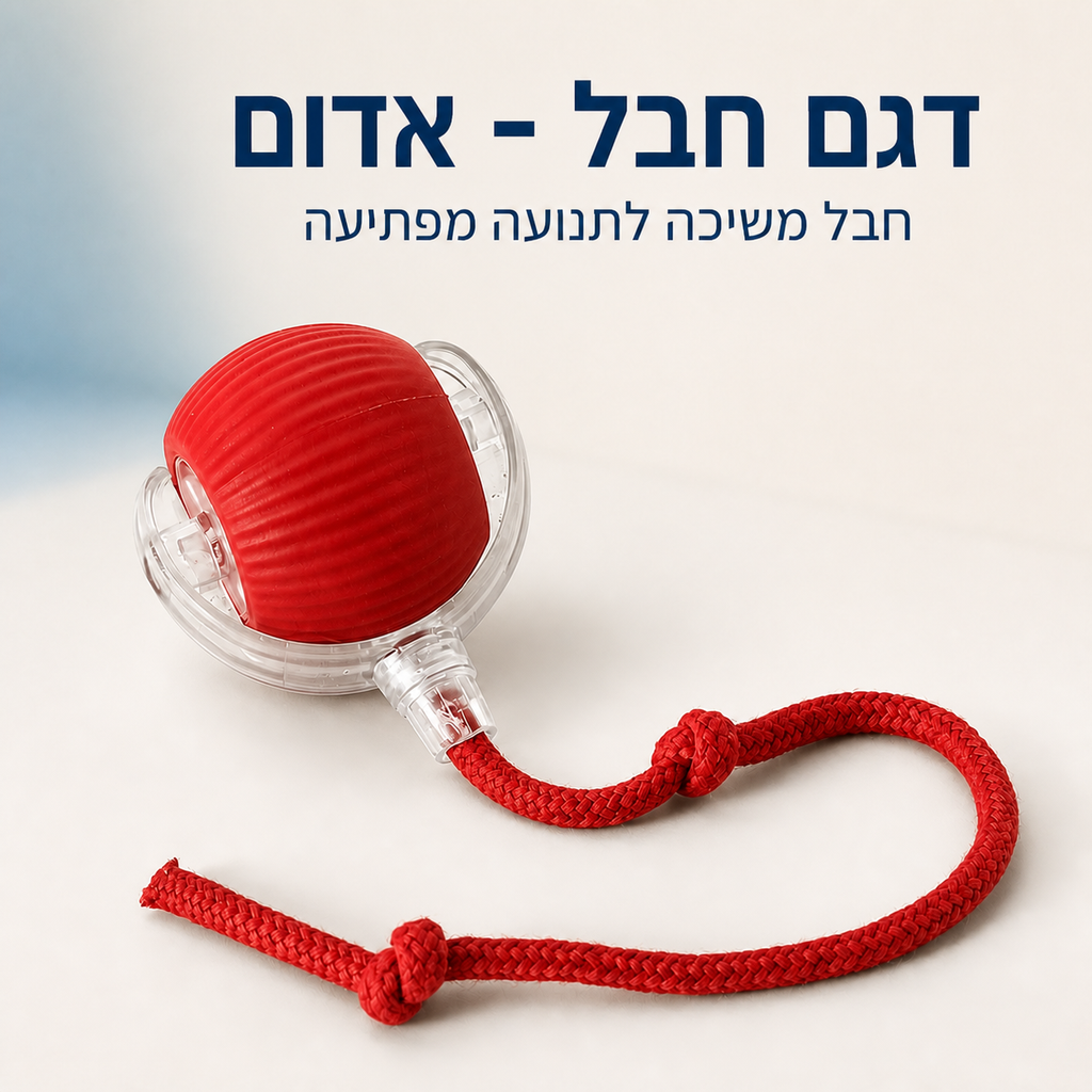 PawPlay Motion - כדור אינטראקטיבי